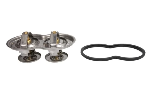 termostatas, aušinimo skystis THERMOTEC D2SC003TT