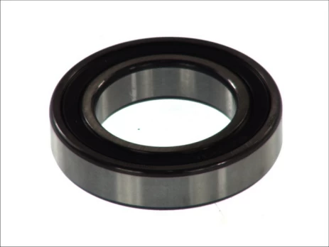 guolis FAG 6009-2RS-C3 /FAG/