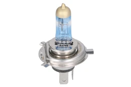 lemputė, prožektorius OSRAM OSR64193NB220 kaina