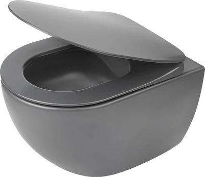 Rimless wall-hung toilet