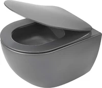 Rimless wall-hung toilet kaina