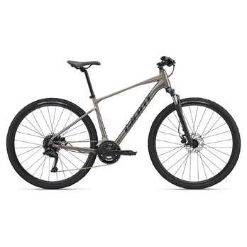 GIANT Roam 3 28" // 18G, dydis 20" (50 cm) (smėlinė)