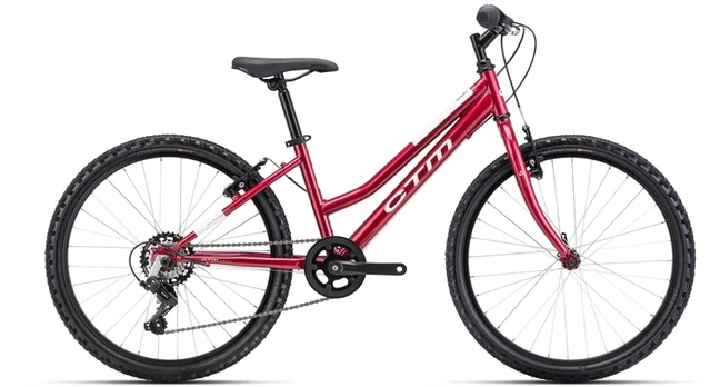Dviratis CTM Mony 24"