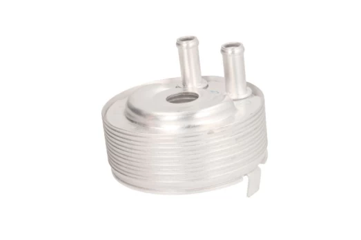 Alyvos radiatorius THERMOTEC D41001TT