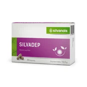 SILVADEP kapsulės N30 kaina
