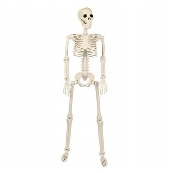 Helovino dekoracija Skeletas, baltas