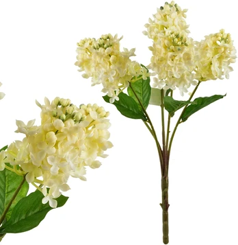 Mondex Since 1986 VIRIDIS Bukiet Bzu 40cm gumowany