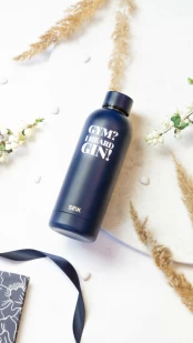 SEIK gertuvė/termosas – „gym? I heard gin!“, 500ml kaina