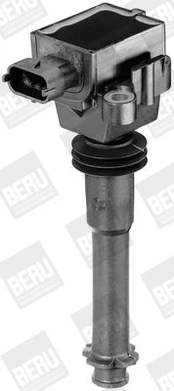 Ritė, uždegimas BorgWarner (BERU) ZS311
