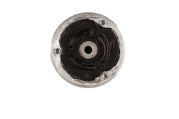 Pakabos statramsčio atraminis guolis BILSTEIN 12-224302 kaina