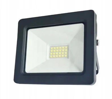 Eko Light 20 W „Crux GW-0129“ LED prožektorius