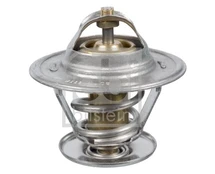 Termostatas, aušinimo skystis FEBI BILSTEIN 17904 kaina