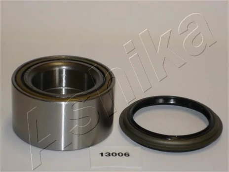 Rato guolio komplektas ASHIKA 44-13006