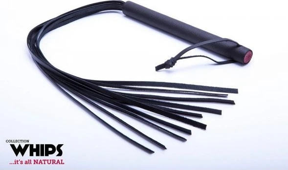 Whips Botagai Odinis botagas 60cm