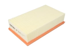Oro filtras FILTRON AP 134/7 kaina