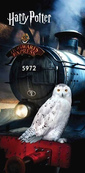 Harry Potter "Hedwig" Vaikiškas rankšluostis, 70x140 cm kaina