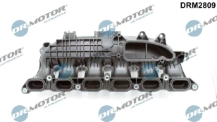 Įsiurbimo kolektoriaus modulis Dr.Motor Automotive DRM2809 kaina