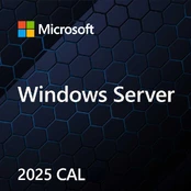 Microsoft kaina
