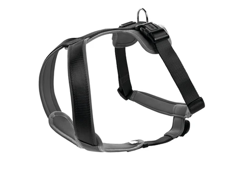 Hunter Neoprene Gray/Black Šuns petnešos