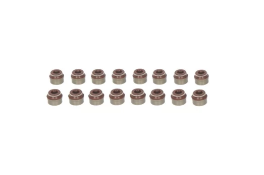 REINZ 12-53494-01 Valve stem seal set