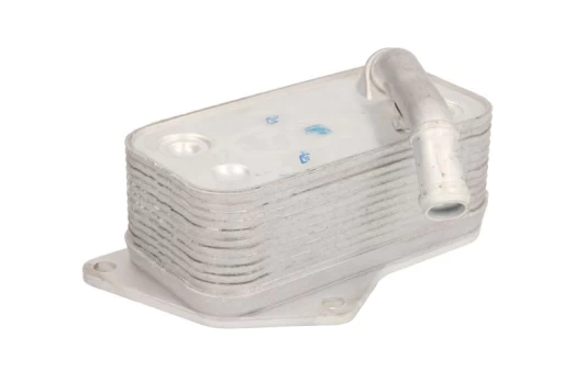 Alyvos radiatorius THERMOTEC D4B004TT
