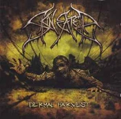 CD Skineater - Dermal Harvest