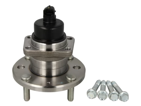 SNR R190.05 Wheel bearing kit