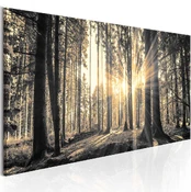 Artgeist Paveikslas - Forest Sun kaina
