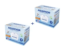 Vandens filtras Aquaphor B25 Maxfor, 2 vnt. kaina