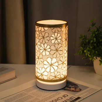 LED stalinis šviestuvas, Plug-in Šilta spalva Stilius
