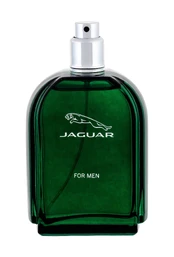 Jaguar Jaguar 100ml Vyrams EDT kaina