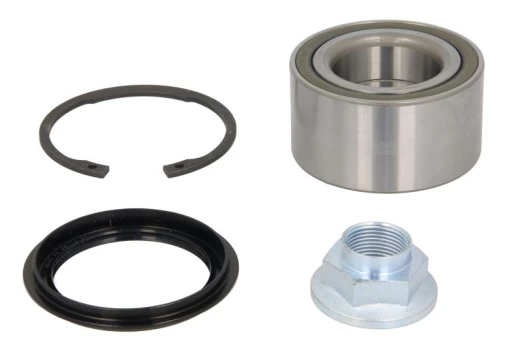 SNR R189.07 Wheel bearing kit