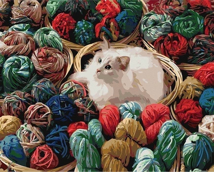 Tapyba pagal skaičius Katė , 40x50 cm