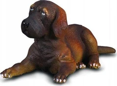 Collecta RUMUNIJA