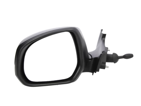 BLIC 5402-18-025361P Wing mirror