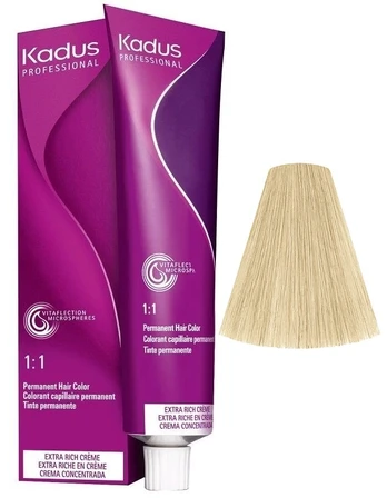 Plaukų dažai Kadus Professional Permanent Color, 10/1, 60 ml