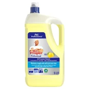 Universalus valiklis MR.PROPER Lemon, 5 l kaina