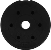 Diskinis svoris Zipro Disk Weight, 1.25 kg kaina