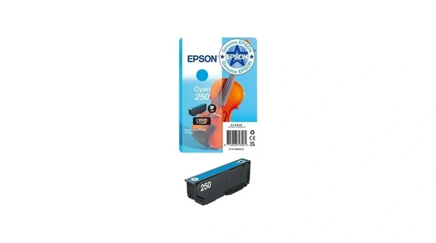 EPSON Singlepack Cyan 250 ink | C13T16N24010