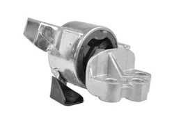 Variklio montavimas TEDGUM TED57057