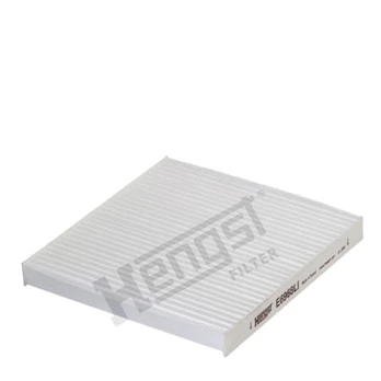 Filtras, salono oras HENGST FILTER E6968LI