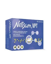 Phergal Netsium Netisum Vpt 60 Capsules kaina