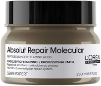 L'Oreal ABSOLUT REPAIR MOLECULAR mask for damaged hair 250 ml kaina