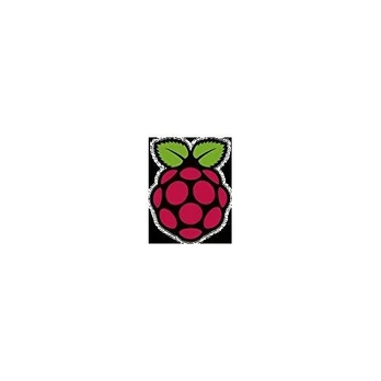 Raspberry Stontronics Aviečių PI 3 maitinimo šaltinis (T6143DV)