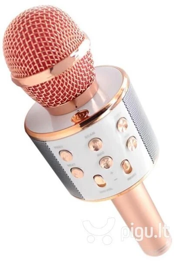 Karaoke mikrofonas Royal Song WS-858