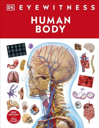 KNYGA Dk Publishing Žmogaus kūnas