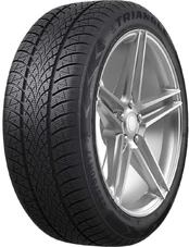 Triangle WinterX TW401 195/60 R16 89 H kaina