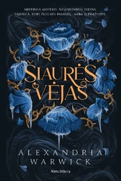 Šiaurės vėjas kaina