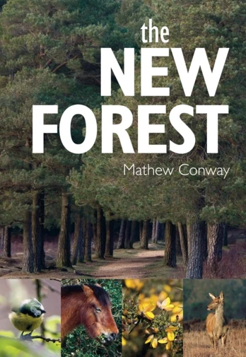 New Forest