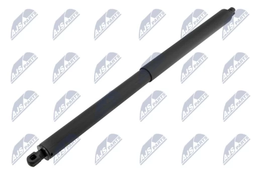 Dujinė spyruoklė, bagažinė NTY AE-CH-059